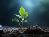 Il sito web Start è l'ideale se hai bisogno solo di piantare una bandierina che dica 'Io ci sono!' Un piccolo germoglio. Il sito web Start è l'ideale se hai bisogno solo di piantare una bandierina che dica 'Io ci sono!'