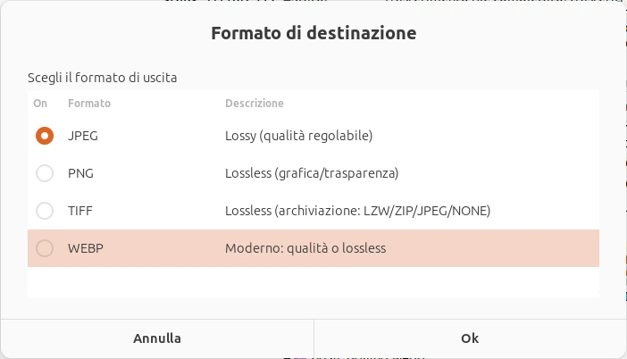 La finestra Formato di destinazione, con i quattro formati grafici