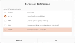 Puoi selezionare il formato grafico di destinazione cliccando il pulsante relativo La finestra Formato di destinazione, con i quattro formati grafici